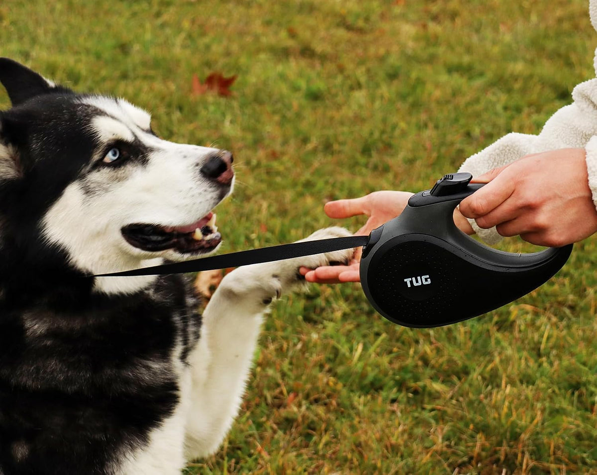 Original Retractable Dog Leash, 16 ft (Large, White)