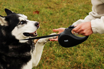 Original Retractable Dog Leash, 16 ft (Large, White)