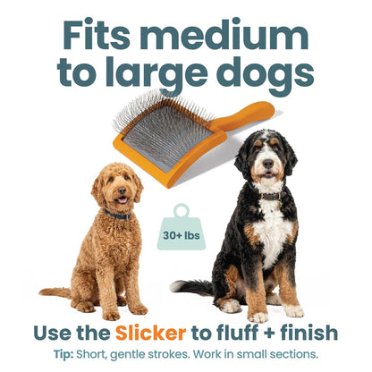 Slicker Brush for Dogs, Goldendoodle Brush for Fluff – Routine Essential for Poodles, Bernedoodles & Long Haired Breeds, Gentle Dematting & Easy-Clean Bristles –