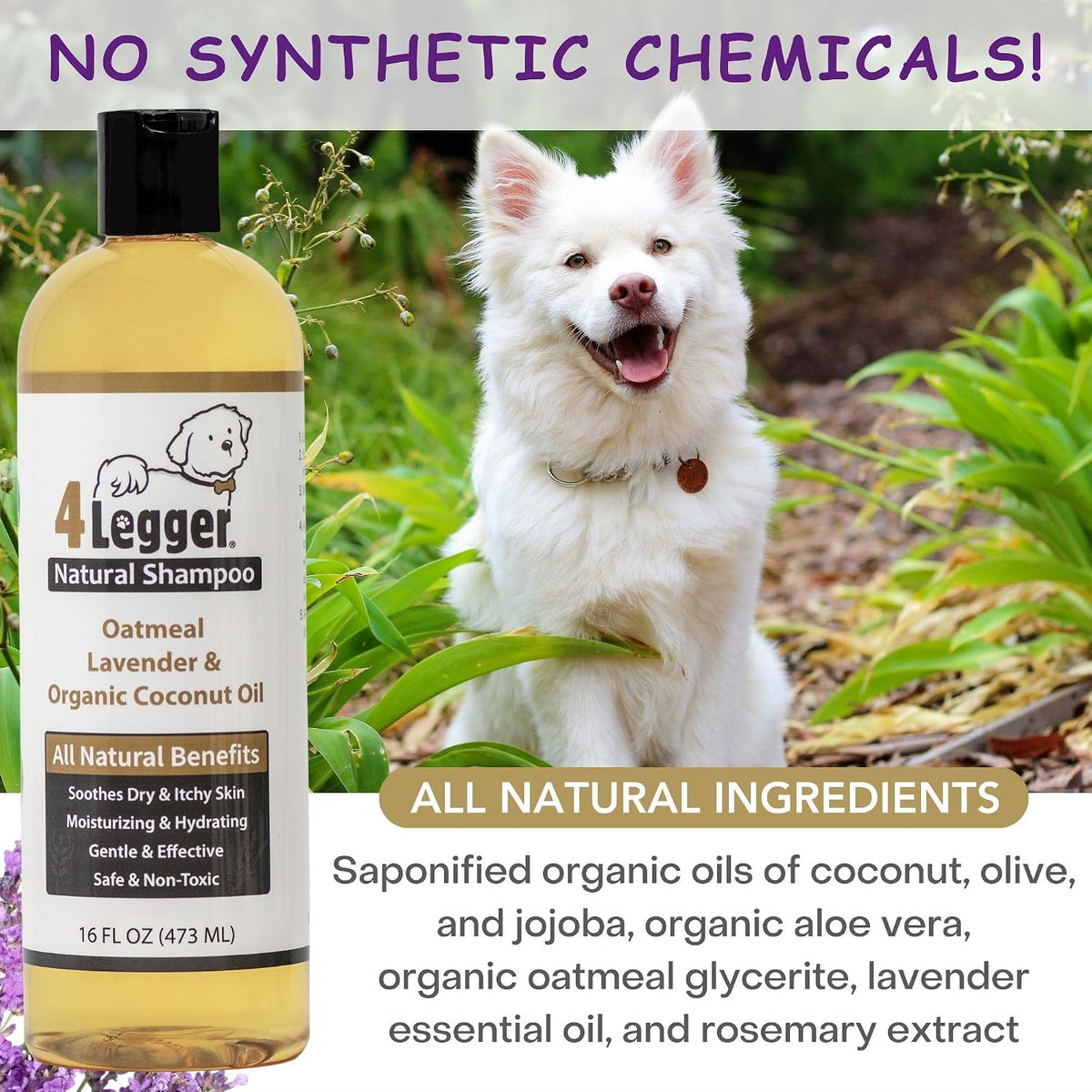 All Natural Organic Oatmeal Dog Shampoo for Itchy Skin with Aloe, Coconut & Lavender Essential Oil, Hypoallergenic, Moisturizing for Normal, Dry, Itchy, or Sensitive Skin, USA Made, 16 oz