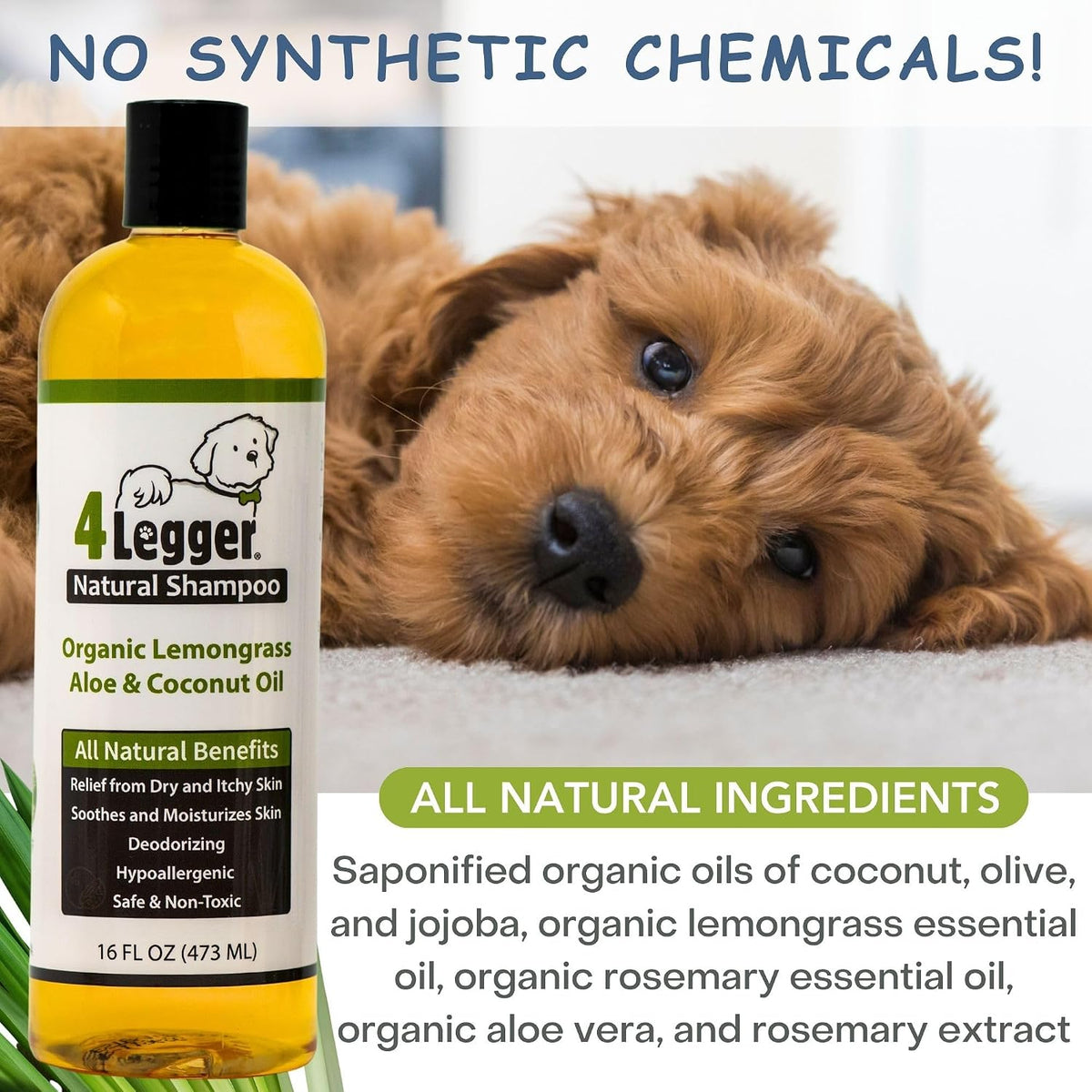 All Natural Organic Oatmeal Dog Shampoo for Itchy Skin with Aloe, Coconut & Lavender Essential Oil, Hypoallergenic, Moisturizing for Normal, Dry, Itchy, or Sensitive Skin, USA Made, 16 oz
