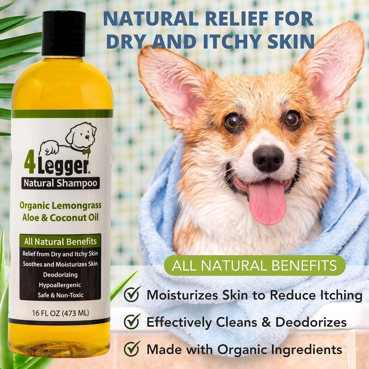 All Natural Organic Oatmeal Dog Shampoo for Itchy Skin with Aloe, Coconut & Lavender Essential Oil, Hypoallergenic, Moisturizing for Normal, Dry, Itchy, or Sensitive Skin, USA Made, 16 oz