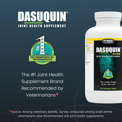 Nutramax Dasuquin MSM Joint Supplement, Large Dogs Chewable Tablets