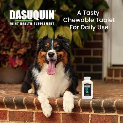 Nutramax Dasuquin MSM Joint Supplement, Large Dogs Chewable Tablets