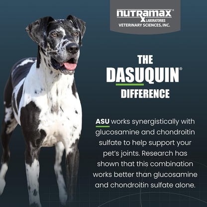 Nutramax Dasuquin MSM Joint Supplement, Large Dogs Chewable Tablets