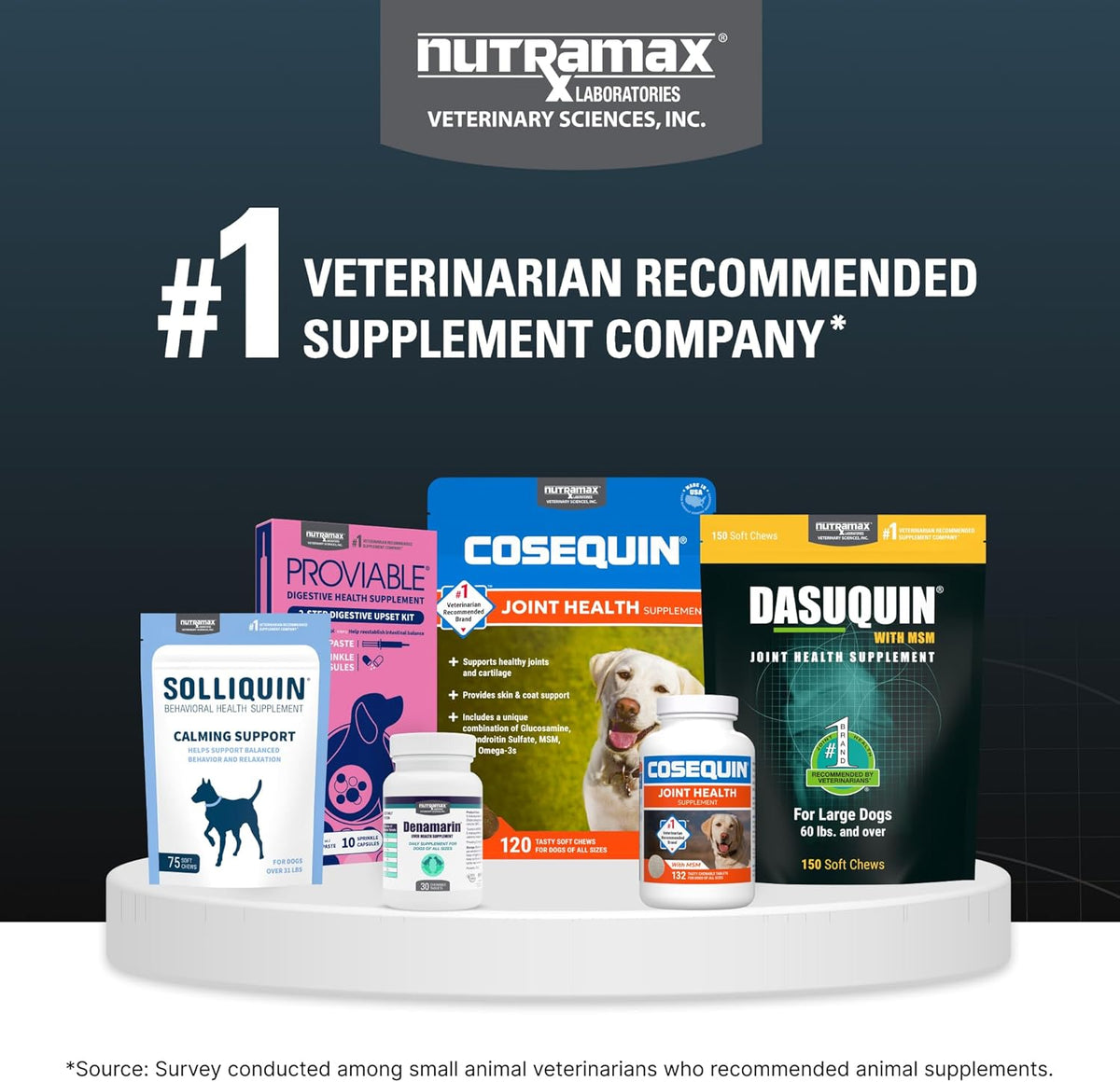 Nutramax Dasuquin MSM Joint Supplement, Large Dogs Chewable Tablets