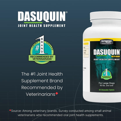 Nutramax Dasuquin MSM Joint Supplement, Large Dogs Chewable Tablets