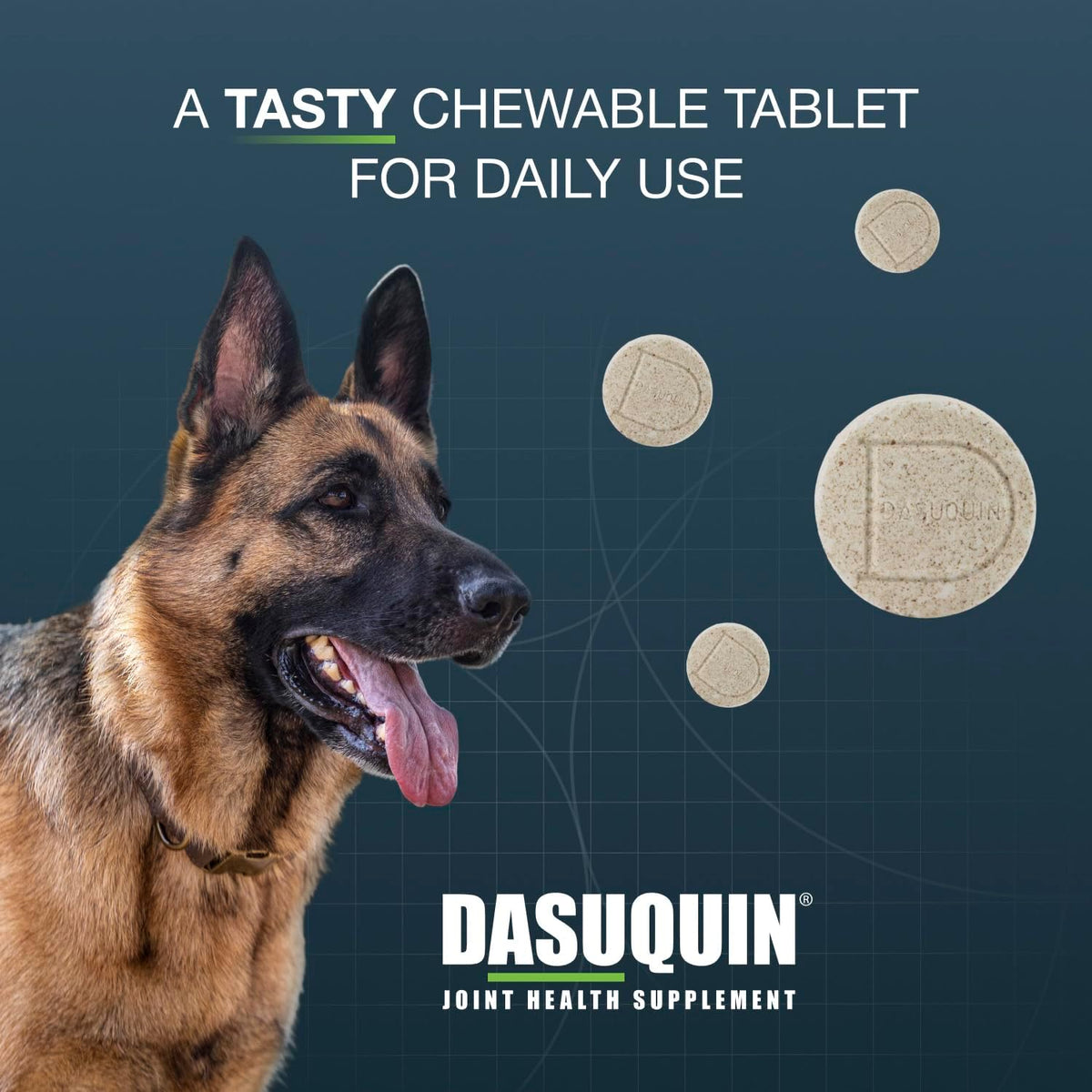 Nutramax Dasuquin MSM Joint Supplement, Large Dogs Chewable Tablets