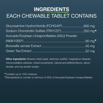 Nutramax Dasuquin MSM Joint Supplement, Large Dogs Chewable Tablets