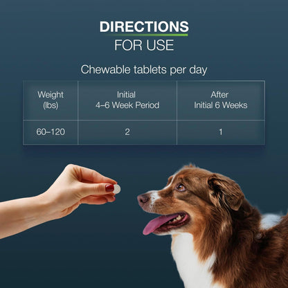 Nutramax Dasuquin MSM Joint Supplement, Large Dogs Chewable Tablets