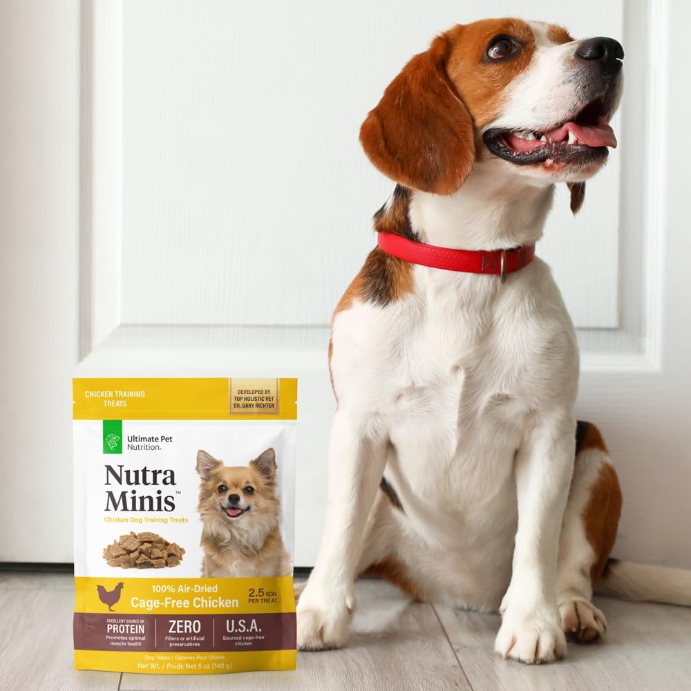 Nutra Minis Air-Dried Dog Training Treats, Beef