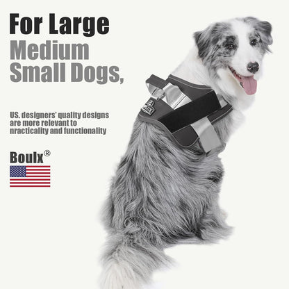 Dog Harness, No-Pull Reflective Dog Vest, Breathable Adjustable Pet Harness with Handle for Outdoor Walking - No More Pulling, Tugging or Choking (Blue, S)
