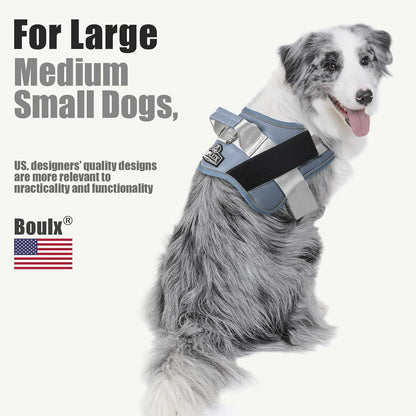 Dog Harness, No-Pull Reflective Dog Vest, Breathable Adjustable Pet Harness with Handle for Outdoor Walking - No More Pulling, Tugging or Choking (Blue, S)