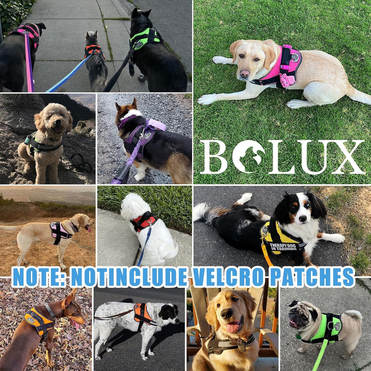 Dog Harness, No-Pull Reflective Dog Vest, Breathable Adjustable Pet Harness with Handle for Outdoor Walking - No More Pulling, Tugging or Choking (Blue, S)