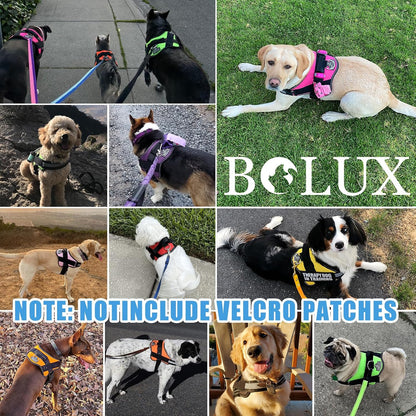 Dog Harness, No-Pull Reflective Dog Vest, Breathable Adjustable Pet Harness with Handle for Outdoor Walking - No More Pulling, Tugging or Choking (Blue, S)
