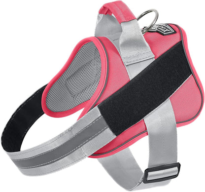 Dog Harness, No-Pull Reflective Dog Vest, Breathable Adjustable Pet Harness with Handle for Outdoor Walking - No More Pulling, Tugging or Choking (Blue, S)
