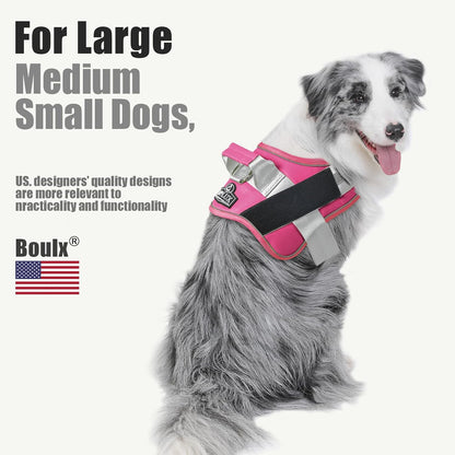 Dog Harness, No-Pull Reflective Dog Vest, Breathable Adjustable Pet Harness with Handle for Outdoor Walking - No More Pulling, Tugging or Choking (Blue, S)