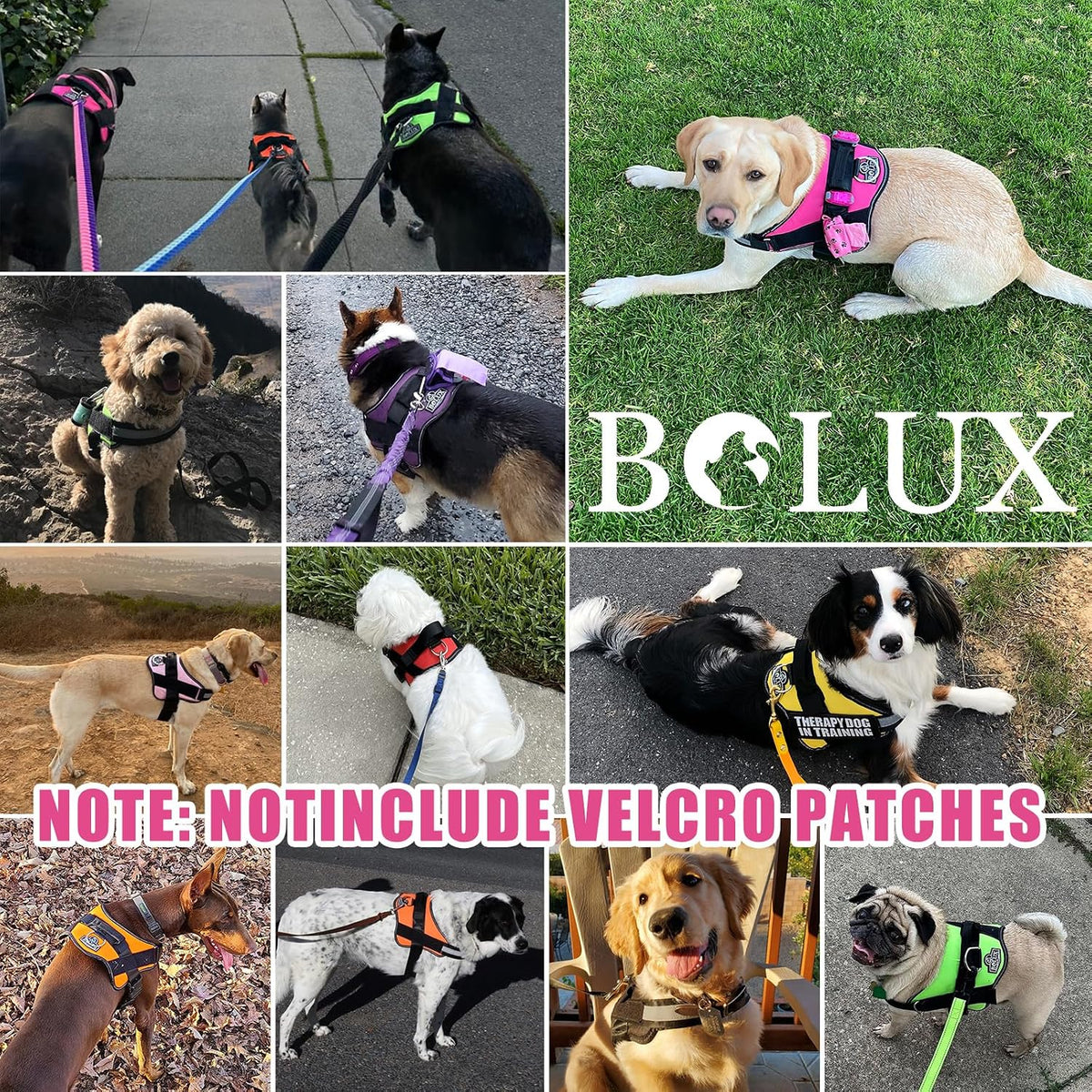 Dog Harness, No-Pull Reflective Dog Vest, Breathable Adjustable Pet Harness with Handle for Outdoor Walking - No More Pulling, Tugging or Choking (Blue, S)