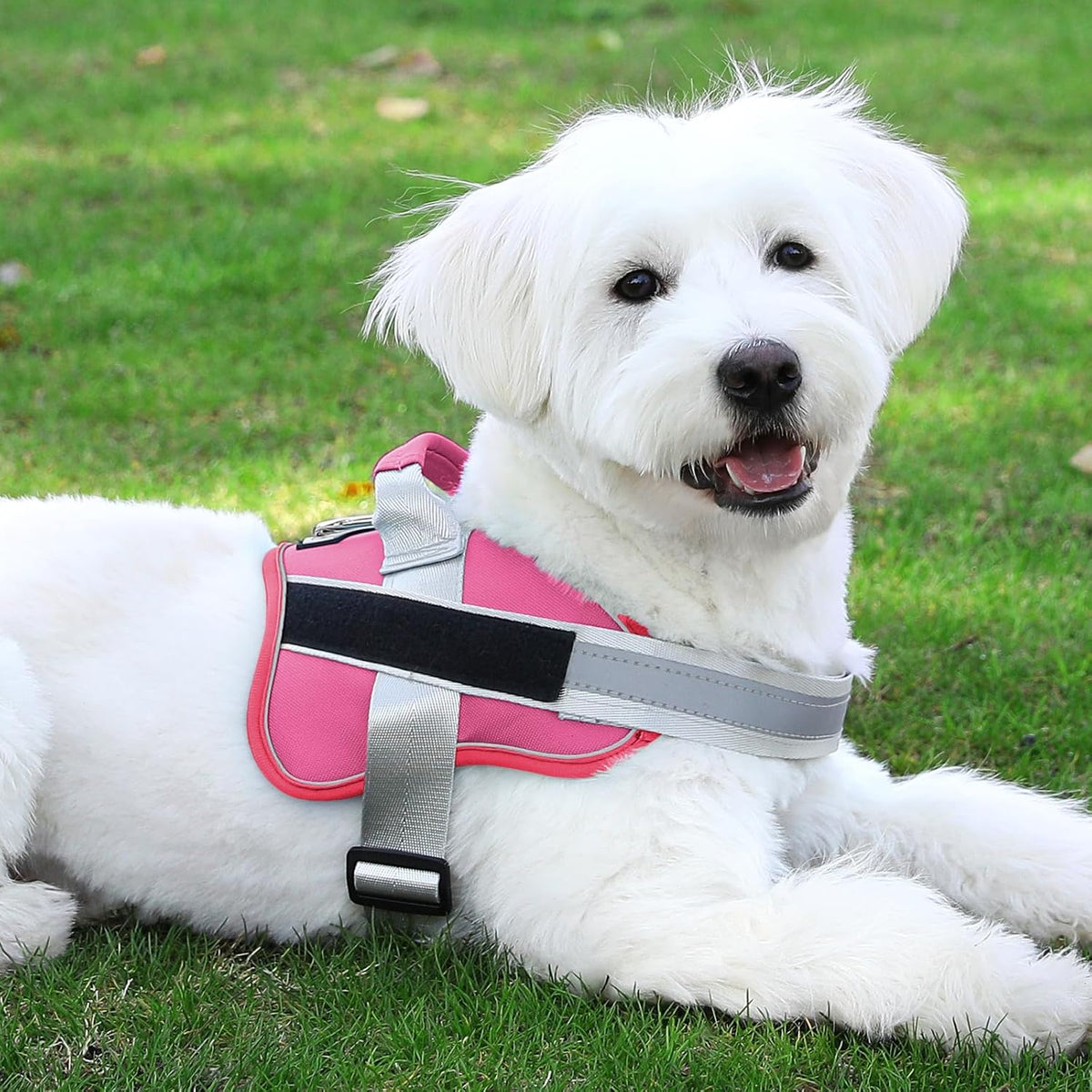 Dog Harness, No-Pull Reflective Dog Vest, Breathable Adjustable Pet Harness with Handle for Outdoor Walking - No More Pulling, Tugging or Choking (Blue, S)