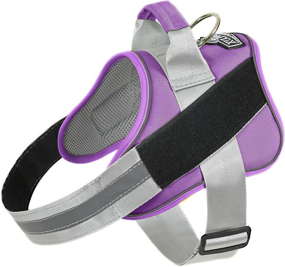 Dog Harness, No-Pull Reflective Dog Vest, Breathable Adjustable Pet Harness with Handle for Outdoor Walking - No More Pulling, Tugging or Choking (Blue, S)