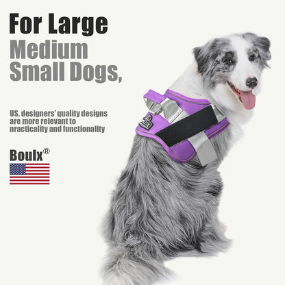 Dog Harness, No-Pull Reflective Dog Vest, Breathable Adjustable Pet Harness with Handle for Outdoor Walking - No More Pulling, Tugging or Choking (Blue, S)