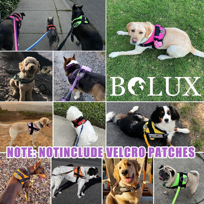 Dog Harness, No-Pull Reflective Dog Vest, Breathable Adjustable Pet Harness with Handle for Outdoor Walking - No More Pulling, Tugging or Choking (Blue, S)
