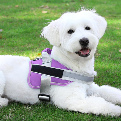 Dog Harness, No-Pull Reflective Dog Vest, Breathable Adjustable Pet Harness with Handle for Outdoor Walking - No More Pulling, Tugging or Choking (Blue, S)