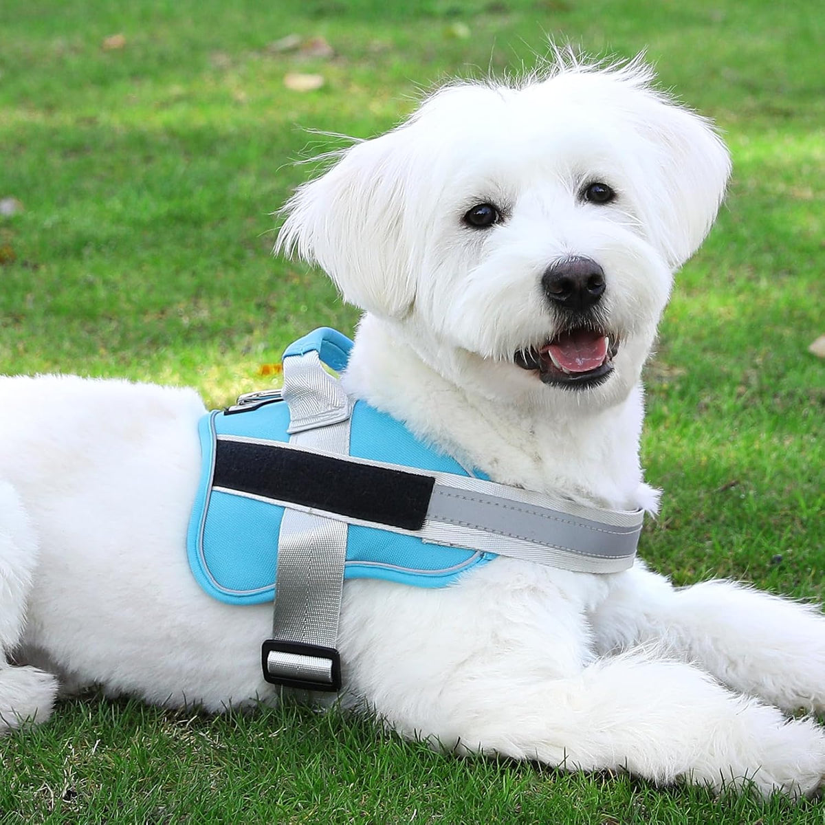 Dog Harness, No-Pull Reflective Dog Vest, Breathable Adjustable Pet Harness with Handle for Outdoor Walking - No More Pulling, Tugging or Choking (Blue, S)