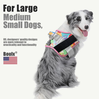Dog Harness, No-Pull Reflective Dog Vest, Breathable Adjustable Pet Harness with Handle for Outdoor Walking - No More Pulling, Tugging or Choking (Blue, S)