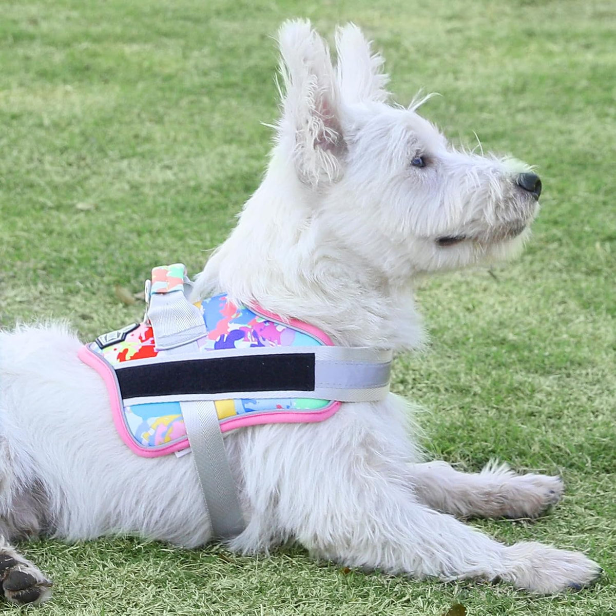 Dog Harness, No-Pull Reflective Dog Vest, Breathable Adjustable Pet Harness with Handle for Outdoor Walking - No More Pulling, Tugging or Choking (Blue, S)