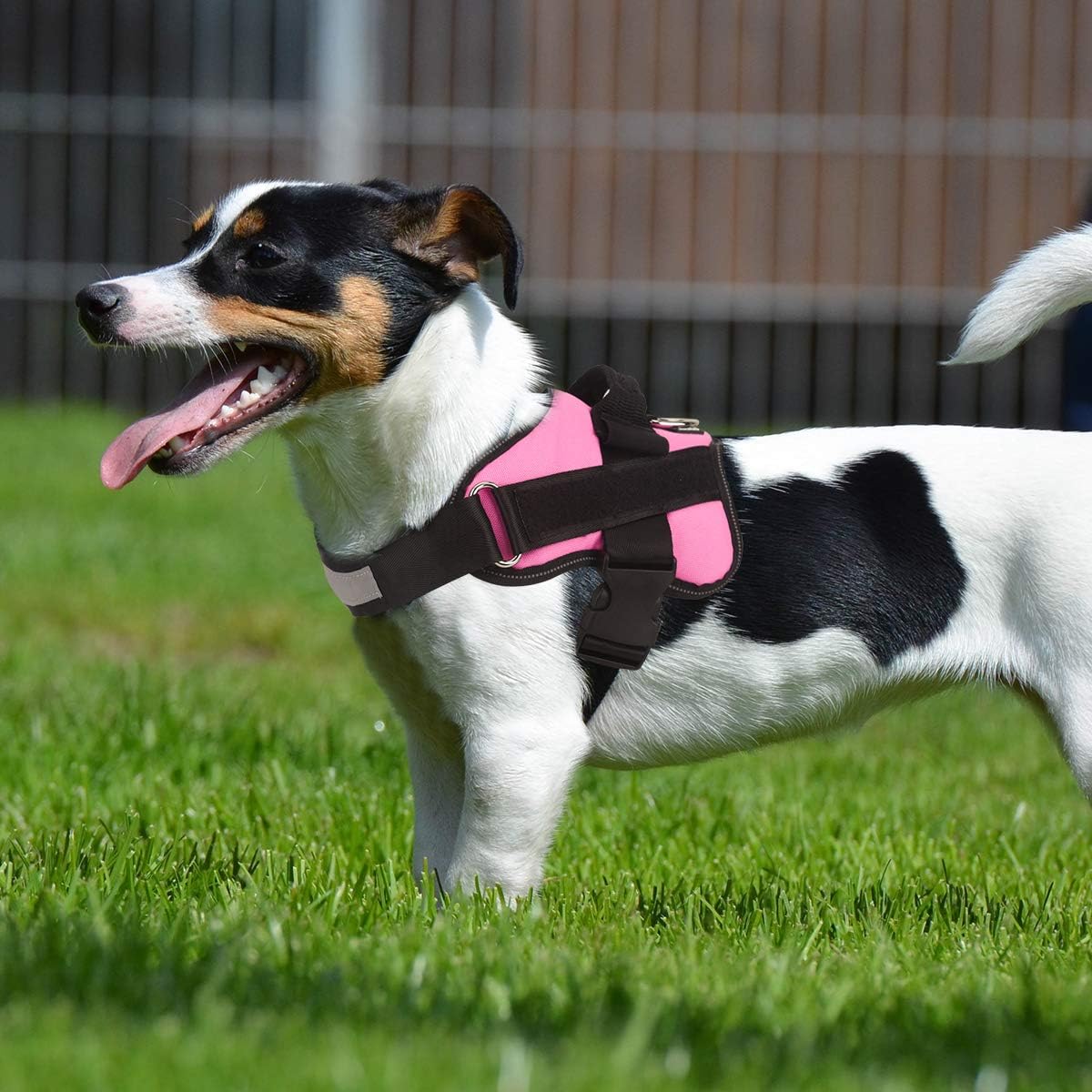 Dog Harness, No-Pull Reflective Dog Vest, Breathable Adjustable Pet Harness with Handle for Outdoor Walking - No More Pulling, Tugging or Choking (Blue, S)