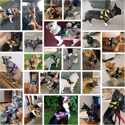 Dog Harness, No-Pull Reflective Dog Vest, Breathable Adjustable Pet Harness with Handle for Outdoor Walking - No More Pulling, Tugging or Choking (Blue, S)