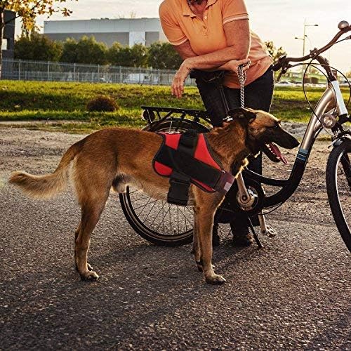 Dog Harness, No-Pull Reflective Dog Vest, Breathable Adjustable Pet Harness with Handle for Outdoor Walking - No More Pulling, Tugging or Choking (Blue, S)