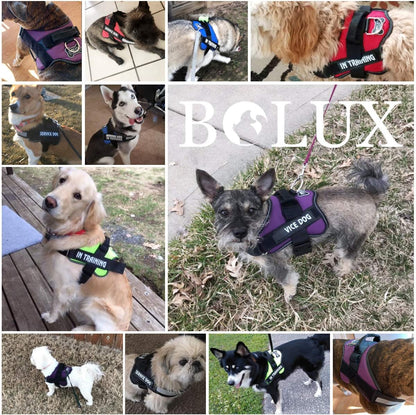 Dog Harness, No-Pull Reflective Dog Vest, Breathable Adjustable Pet Harness with Handle for Outdoor Walking - No More Pulling, Tugging or Choking (Blue, S)