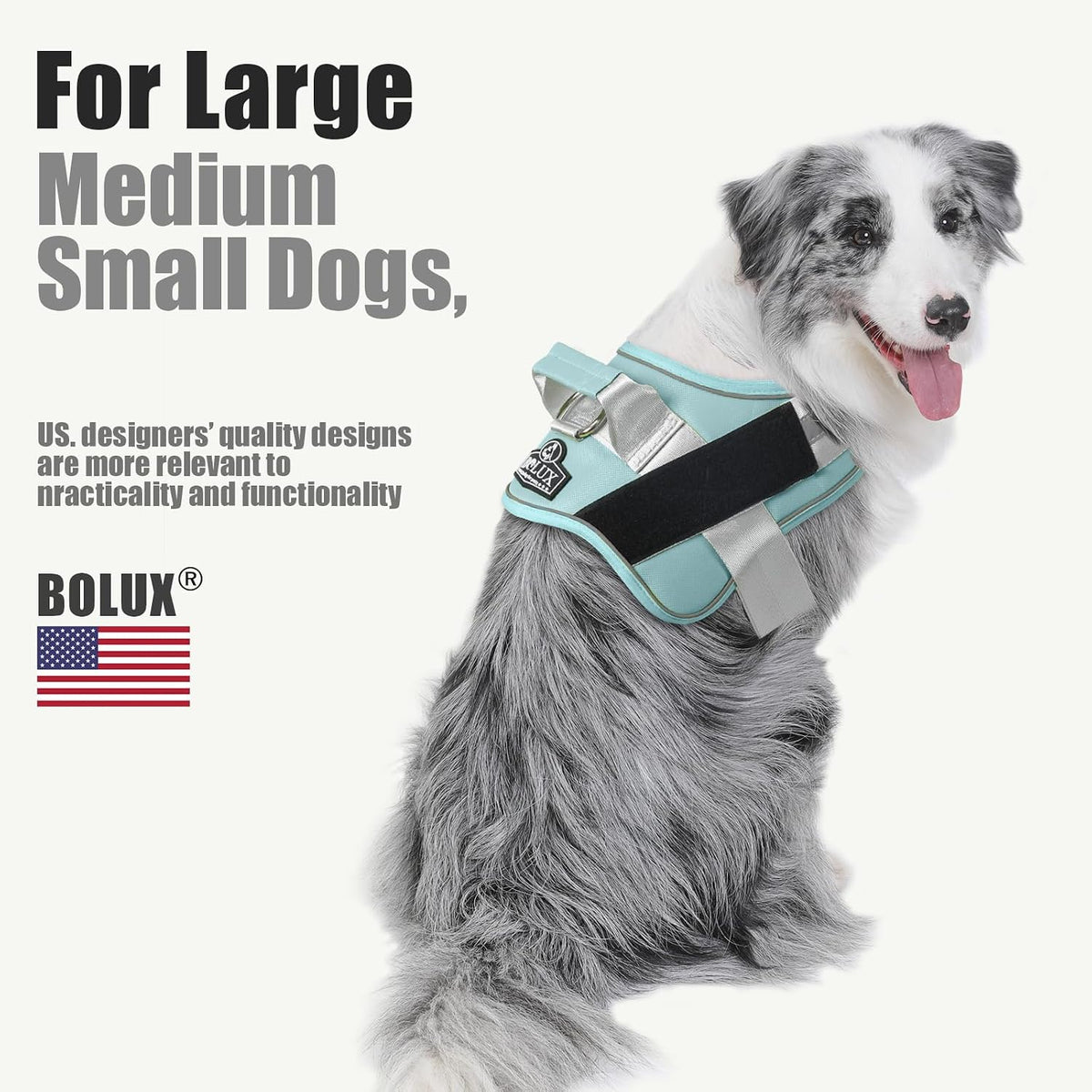 Dog Harness, No-Pull Reflective Dog Vest, Breathable Adjustable Pet Harness with Handle for Outdoor Walking - No More Pulling, Tugging or Choking (Blue, S)