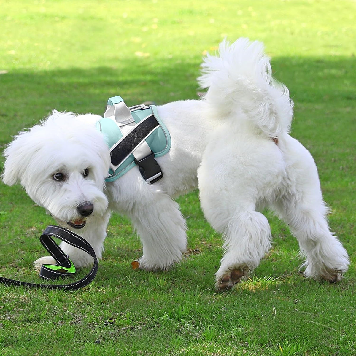 Dog Harness, No-Pull Reflective Dog Vest, Breathable Adjustable Pet Harness with Handle for Outdoor Walking - No More Pulling, Tugging or Choking (Blue, S)