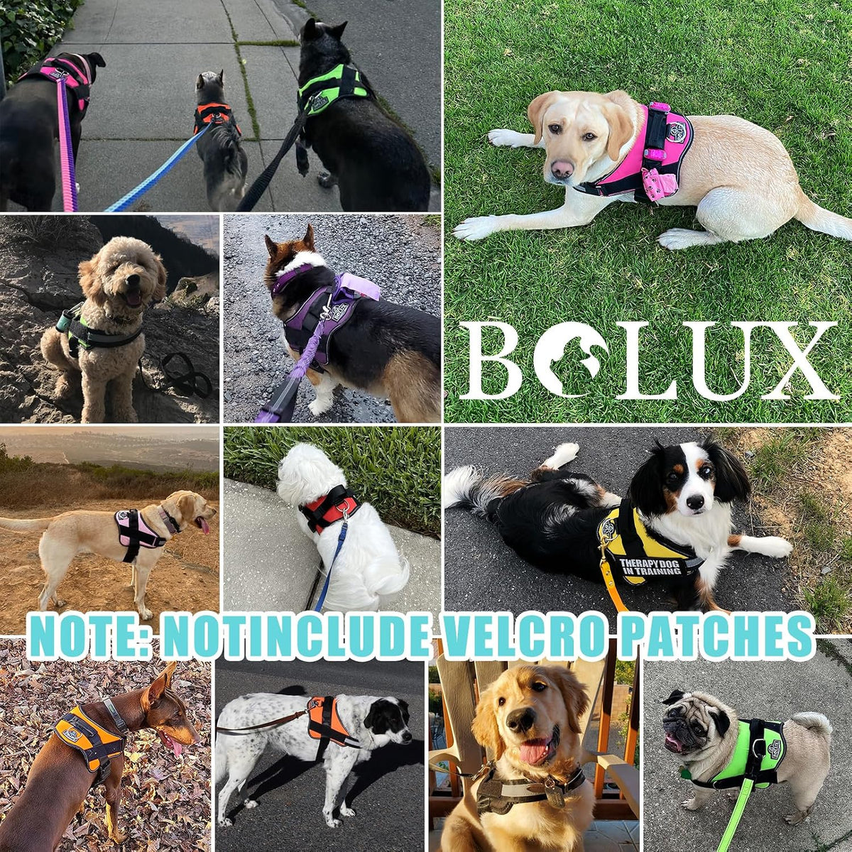 Dog Harness, No-Pull Reflective Dog Vest, Breathable Adjustable Pet Harness with Handle for Outdoor Walking - No More Pulling, Tugging or Choking (Blue, S)