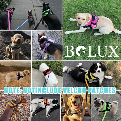 Dog Harness, No-Pull Reflective Dog Vest, Breathable Adjustable Pet Harness with Handle for Outdoor Walking - No More Pulling, Tugging or Choking (Blue, S)