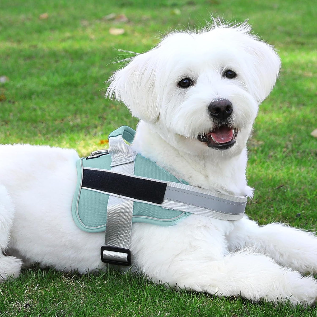 Dog Harness, No-Pull Reflective Dog Vest, Breathable Adjustable Pet Harness with Handle for Outdoor Walking - No More Pulling, Tugging or Choking (Blue, S)