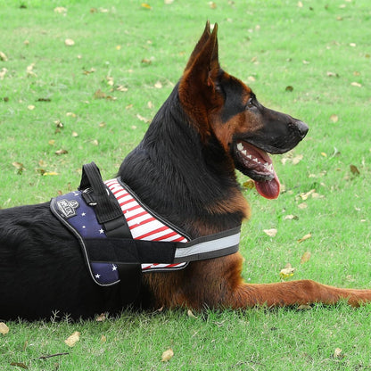 Dog Harness, No-Pull Reflective Dog Vest, Breathable Adjustable Pet Harness with Handle for Outdoor Walking - No More Pulling, Tugging or Choking (Blue, S)