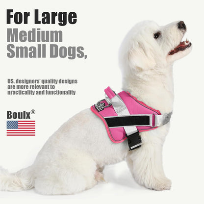 Dog Harness, No-Pull Reflective Dog Vest, Breathable Adjustable Pet Harness with Handle for Outdoor Walking - No More Pulling, Tugging or Choking (Blue, S)