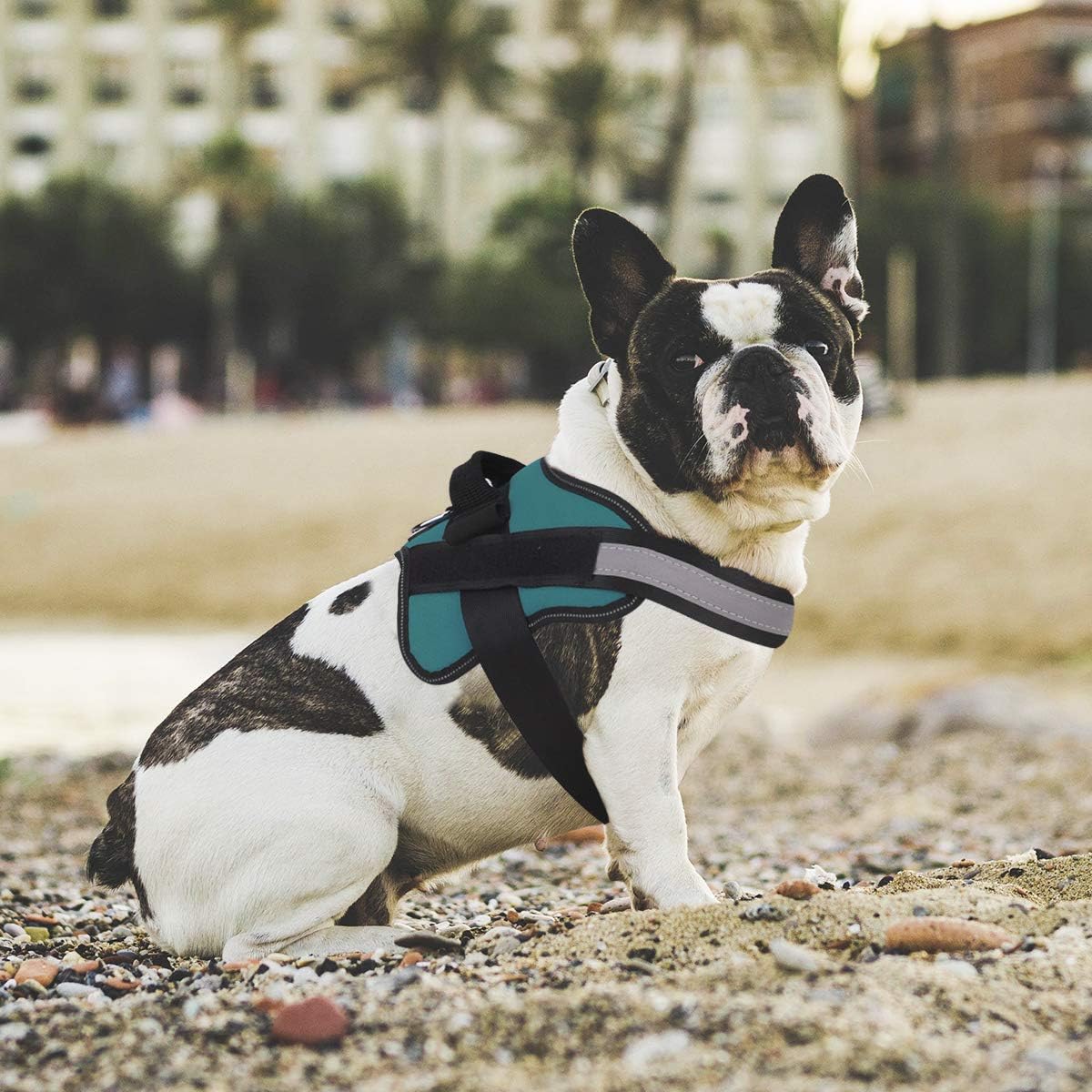 Dog Harness, No-Pull Reflective Dog Vest, Breathable Adjustable Pet Harness with Handle for Outdoor Walking - No More Pulling, Tugging or Choking (Blue, S)