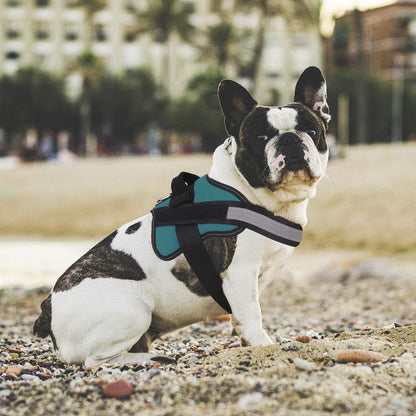 Dog Harness, No-Pull Reflective Dog Vest, Breathable Adjustable Pet Harness with Handle for Outdoor Walking - No More Pulling, Tugging or Choking (Blue, S)