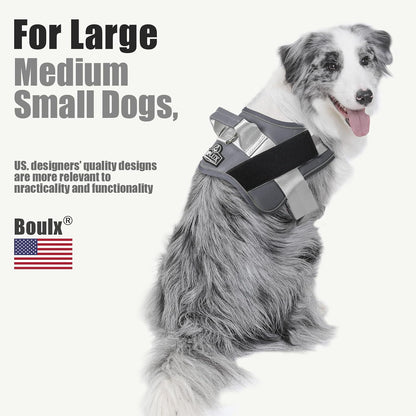 Dog Harness, No-Pull Reflective Dog Vest, Breathable Adjustable Pet Harness with Handle for Outdoor Walking - No More Pulling, Tugging or Choking (Blue, S)