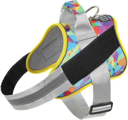 Dog Harness, No-Pull Reflective Dog Vest, Breathable Adjustable Pet Harness with Handle for Outdoor Walking - No More Pulling, Tugging or Choking (Blue, S)