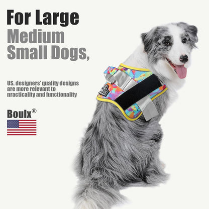 Dog Harness, No-Pull Reflective Dog Vest, Breathable Adjustable Pet Harness with Handle for Outdoor Walking - No More Pulling, Tugging or Choking (Blue, S)