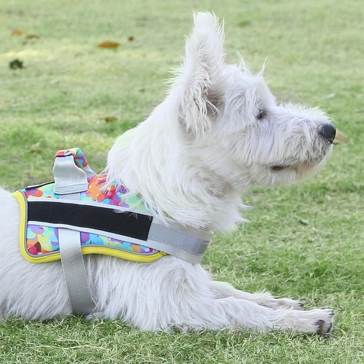 Dog Harness, No-Pull Reflective Dog Vest, Breathable Adjustable Pet Harness with Handle for Outdoor Walking - No More Pulling, Tugging or Choking (Blue, S)