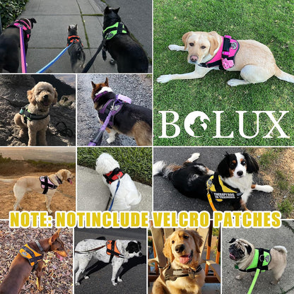 Dog Harness, No-Pull Reflective Dog Vest, Breathable Adjustable Pet Harness with Handle for Outdoor Walking - No More Pulling, Tugging or Choking (Blue, S)