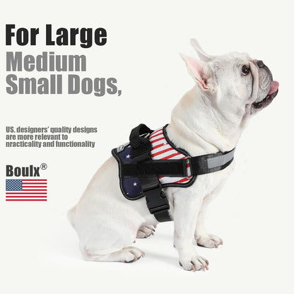 Dog Harness, No-Pull Reflective Dog Vest, Breathable Adjustable Pet Harness with Handle for Outdoor Walking - No More Pulling, Tugging or Choking (Blue, S)