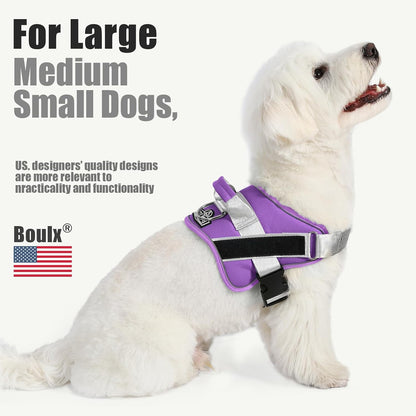 Dog Harness, No-Pull Reflective Dog Vest, Breathable Adjustable Pet Harness with Handle for Outdoor Walking - No More Pulling, Tugging or Choking (Blue, S)